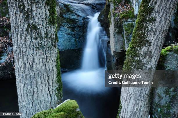 mystery spring - fleuve et rivière stock pictures, royalty-free photos & images