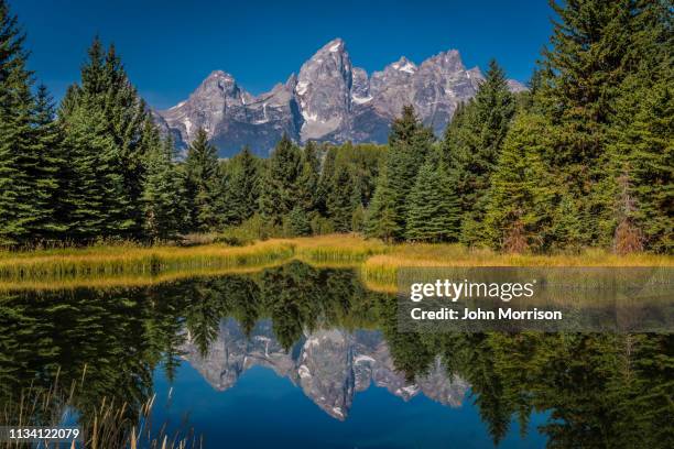 grand teton szenen im herbst mit reflexionen - snake river stock-fotos und bilder