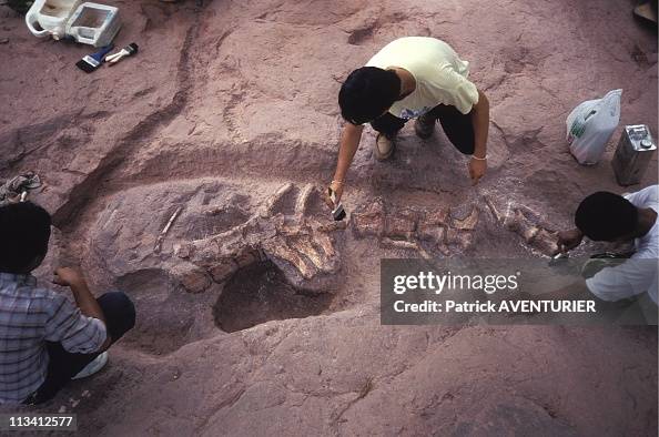 The Oldest Tyrannosaurus World Discovered In Thailand On July 20th, 1996 In Thailand. The Oldest Tyrannosaurus World Discovered In Thailand On July 20th, 1996 In Thailand.