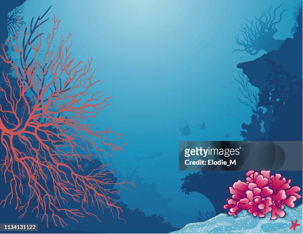 海洋生物--海底的生命 - anemonefish 幅插畫檔、美工圖案、卡通及圖標