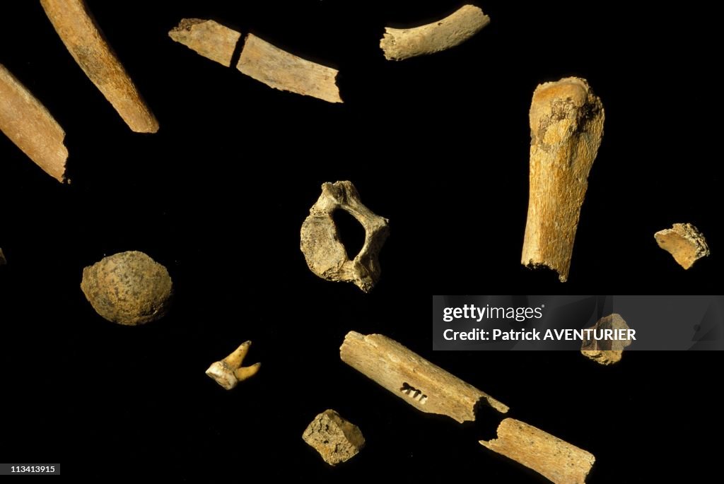 Presentation Of Newly-Discovered Neanderthal Man Fossilized Bones. On March 20th, 1999. In Mettmann, Germany