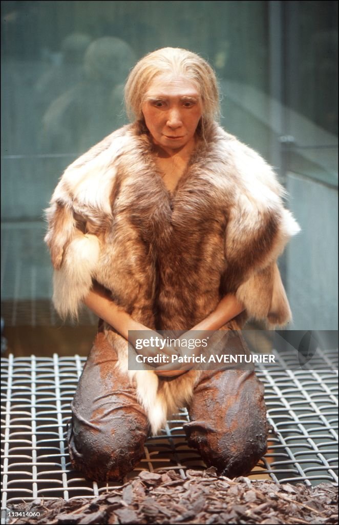 Presentation Of Newly-Discovered Neanderthal Man Fossilized Bones. On March 20th, 1999. In Mettmann, Germany