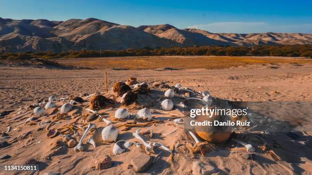 Inca Death Rituals Inca Ritual Photos and Premium High Res Pictures - Getty Images