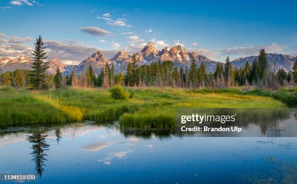 schwabauchers landing - grand teton national park stock pictures, royalty-free photos & images