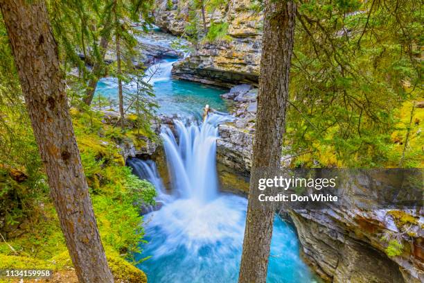 banff national park in alberta canada - johnston canyon stock pictures, royalty-free photos & images