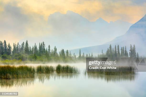 banff nationalpark in alberta kanada - kanada landschaft stock-fotos und bilder