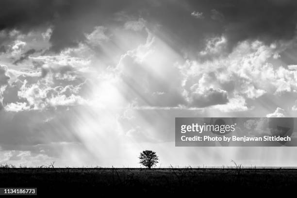 122,754 Black And White Sky Photos and Premium High Res Pictures - Getty  Images