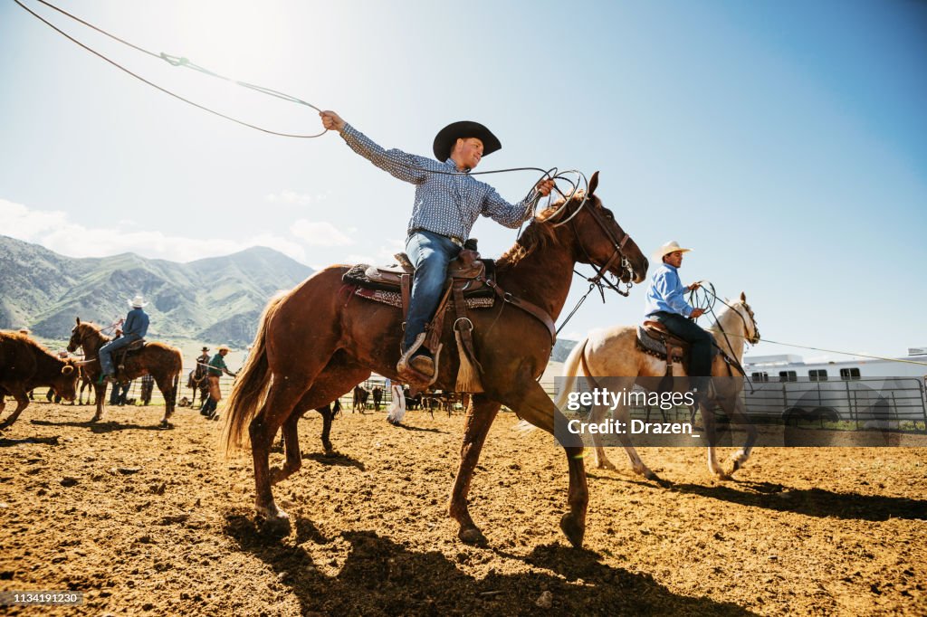 Cowboys che lazo il vitello al ranch
