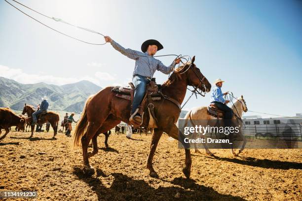 cowboys lassoing calf on ranch - lusso stock pictures, royalty-free photos & images