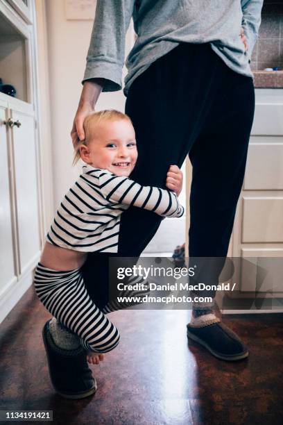 young girl (age 3 years) clinging playfully to her mother's leg in the family home. - gripping photos et images de collection