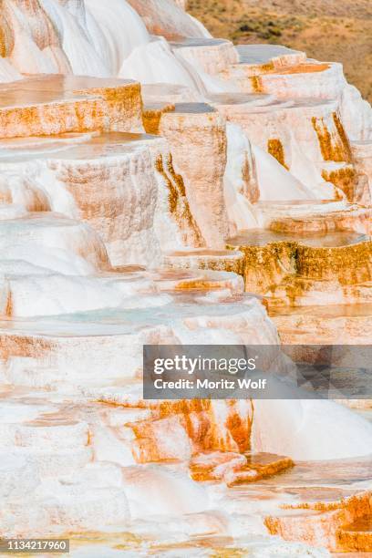 Calcerous Spring Calcareous Sinter Photos and Premium High Res Pictures - Getty Images