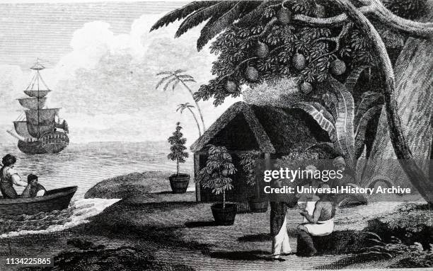 An engraving depicting English naval officer. Collecting Breadfruit plants. The purpose of William Bligh's voyage in HMS. Bounty. Was to col1ect....