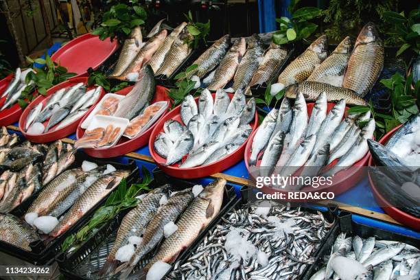 Turkish farmer market. Variety of fresh fish and shrimps with price on the counter.