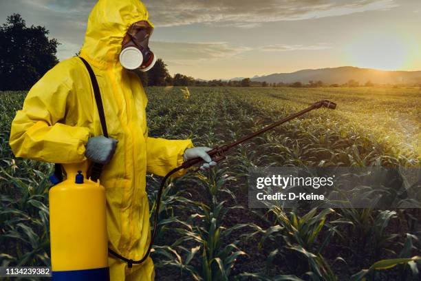 plantation spraying - crop sprayer imagens e fotografias de stock