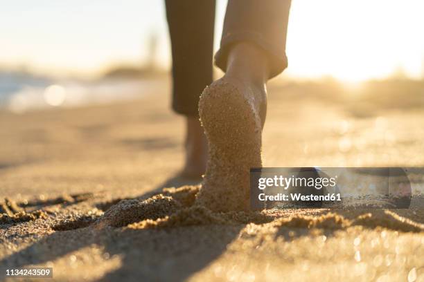 bare feet of a woman, walking on the beach - womans bare feet stock-fotos und bilder