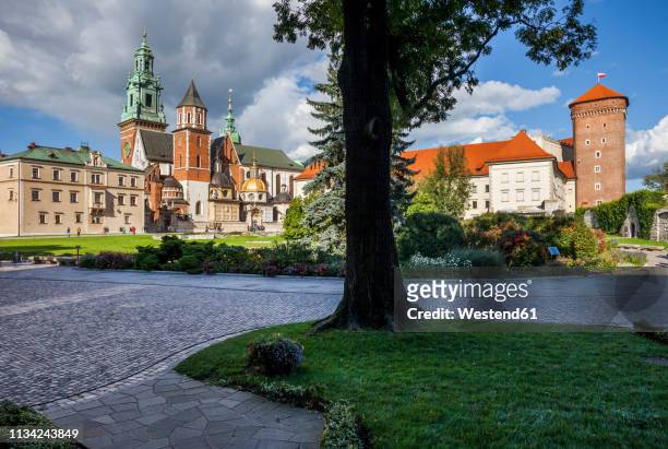 poland, krakow, wawel cathedral and royal castle - krakow park stock pictures, royalty-free photos & images