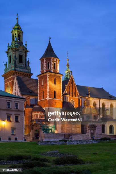 poland, krakûw, wawel cathedral in the evening - krakow stock pictures, royalty-free photos & images