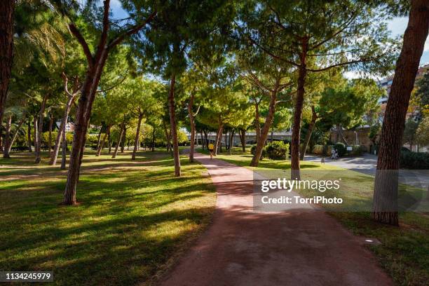 running track in a park with lush green trees, valencia, spain - tartanbahn stock-fotos und bilder