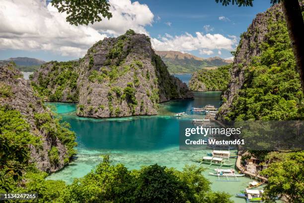 philippines, palawan, coron island, kayangan lake - palawan island stock-fotos und bilder