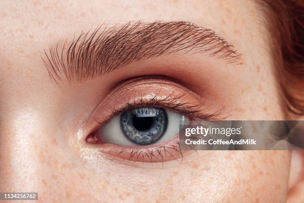 beautiful woman. close-up. soft make-up. - blue eye close up stock pictures, royalty-free photos & images