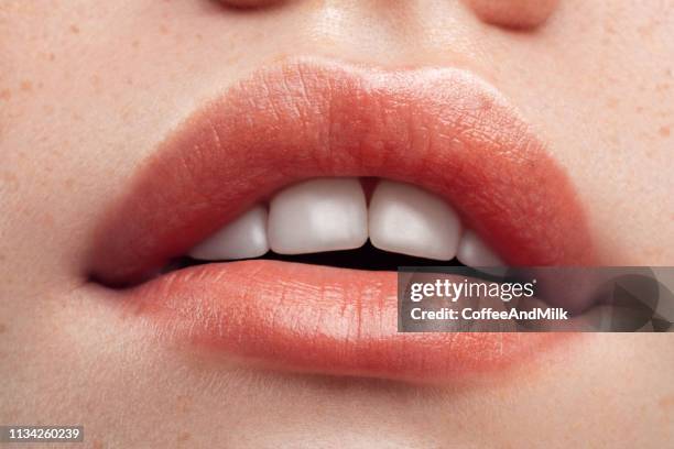 teil des gesichts der frau. die lippen und die nase der frau. weiche haut. - lächeln lippenstift stock-fotos und bilder