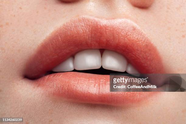 en del av kvinnans ansikte. kvinnans läppar och näsa. mjuk hy. - human lips bildbanksfoton och bilder