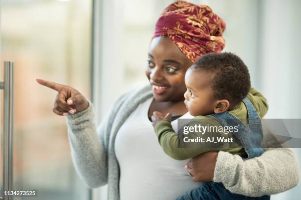 olhe para os belos pássaros lá fora - baby pointing - fotografias e filmes do acervo