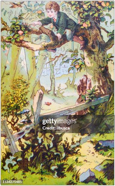 antique color illustration from german children fable book - fairytale stock illustrations