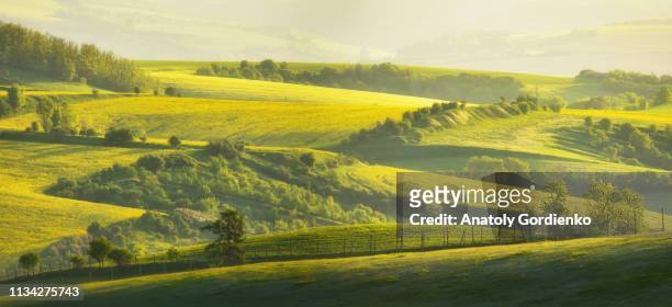 a beautiful spring landscape of the hills of south moravia in the morning light. rural landscape of nature with trees and fence on green hills, czech republic. amazing morning light. - czech republic nature stock pictures, royalty-free photos & images