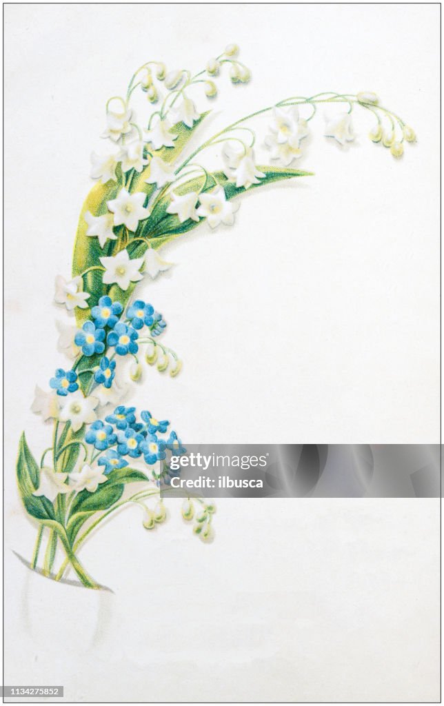 Antique color illustration from German children fable book