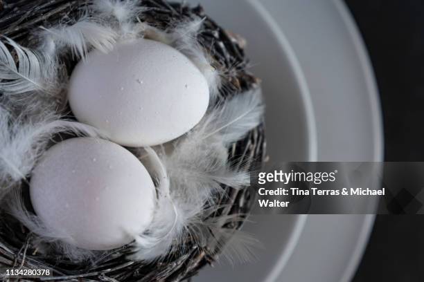 egg in nest on white background. easter. - osterkorb stockfoto's en -beelden