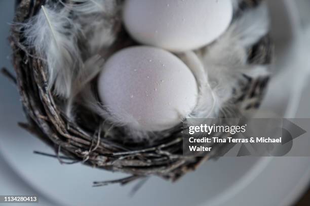 egg in nest on white background. easter. - osterkorb stockfoto's en -beelden