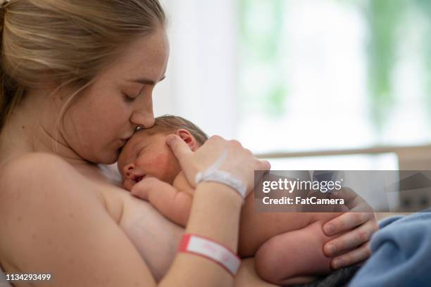 kissing a newborn - childbirth stock pictures, royalty-free photos & images