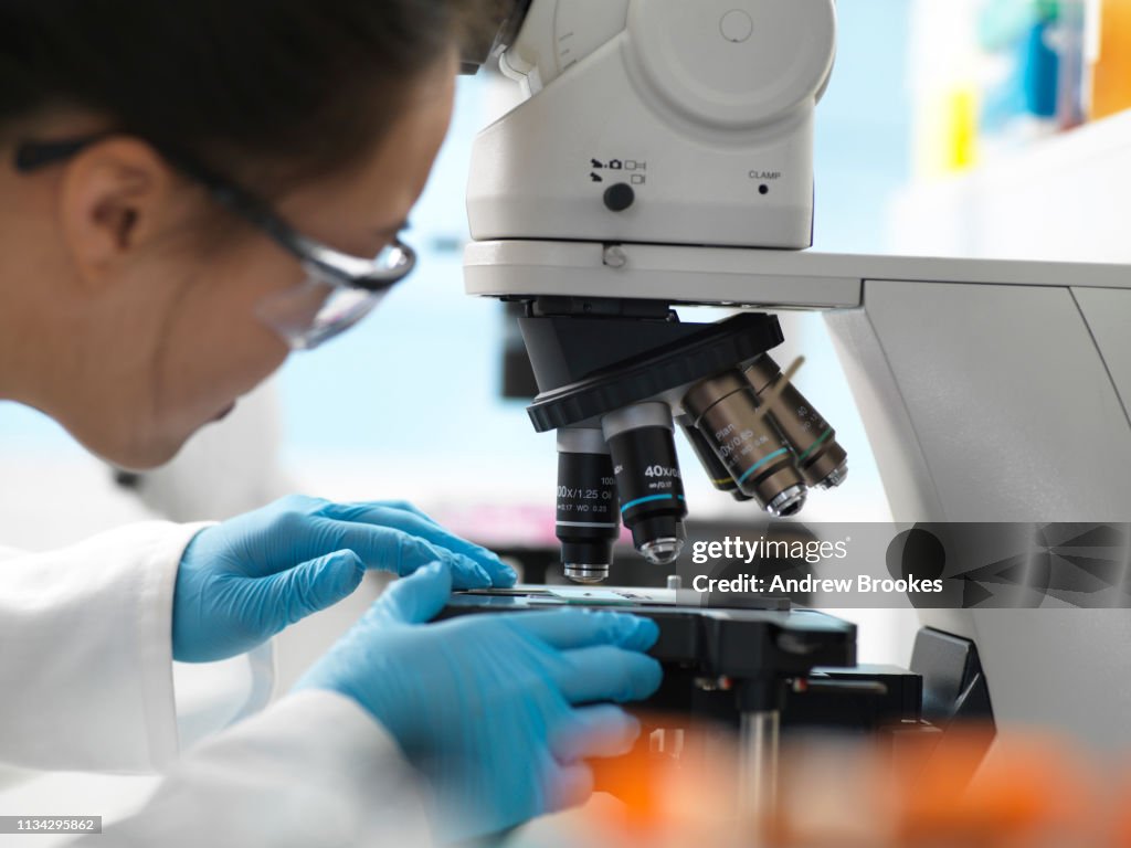 Lab Human Sample Scientist Placing Human Sample On Glass Slide Under Microscope In ...