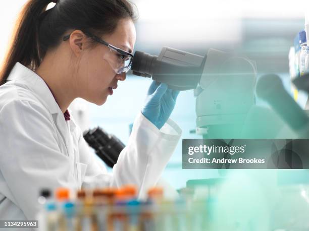 Compound Microscope Sample 1,312 Compound Microscope Stock Photos, High-Res Pictures, and Images ...
