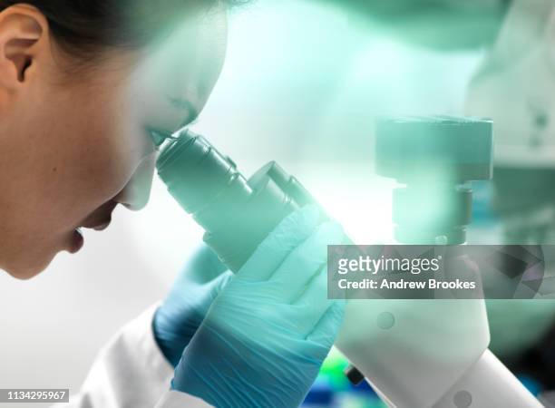 scientist viewing sample through microscope during experiment in laboratory - laboratorio chimico molecola foto e immagini stock