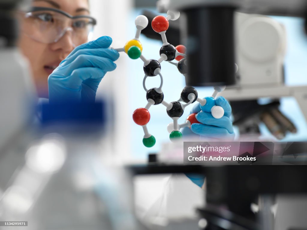 Scientist designing drug formula using ball and stick molecular model in laboratory