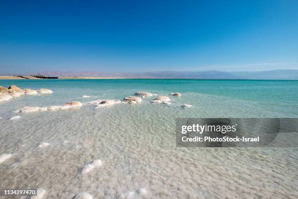 crystallised salt rocks, dead sea, israel - dead sea foto e immagini stock