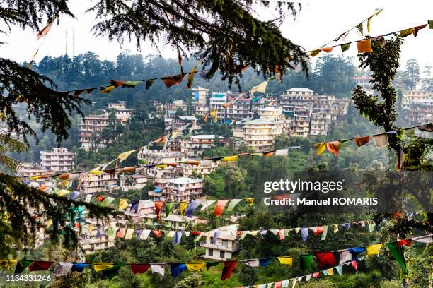 dharamsala - dharamshala stock pictures, royalty-free photos & images