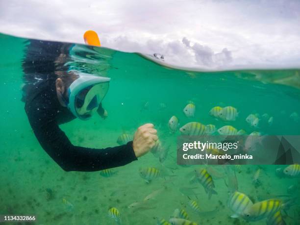 increíble estilo de vida en la playa. - porto galinhas fotografías e imágenes de stock