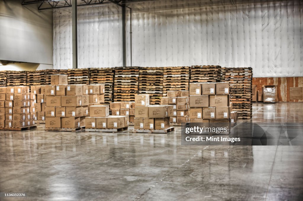 Cardboard boxes and pallets in warehouse