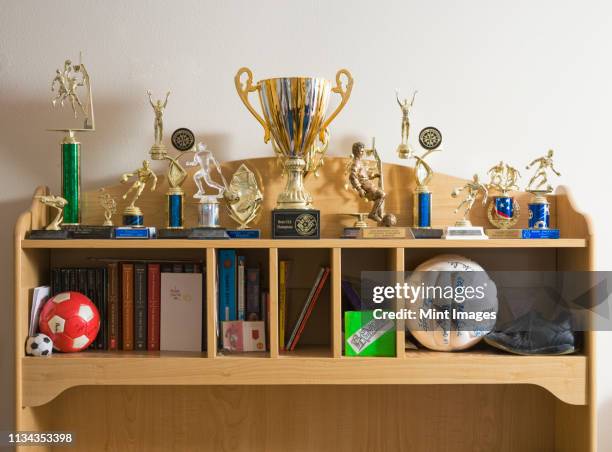 sports trophies, balls and books on shelves - the championship voetbalcompetitie stockfoto's en -beelden