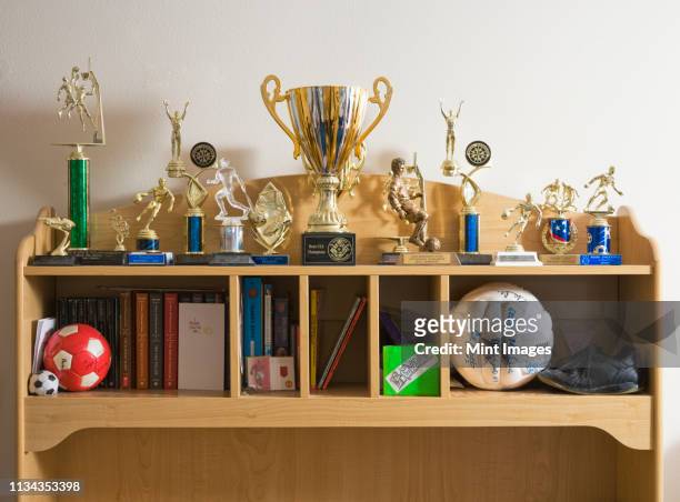 sports trophies, balls and books on shelves - sports trophy stock pictures, royalty-free photos & images