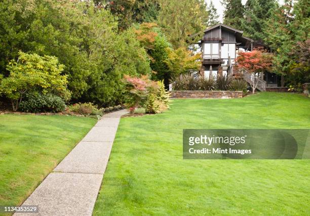 home and yard - back garden stock pictures, royalty-free photos & images