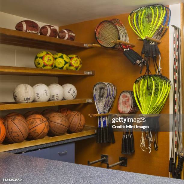 sports equipment display - sport shop stock-fotos und bilder