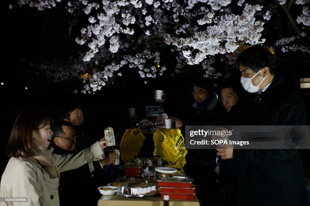 People seen enjoying a cherry blossom view party at a park,...