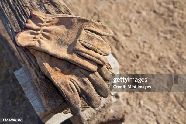 work gloves - work glove stock pictures, royalty-free photos & images