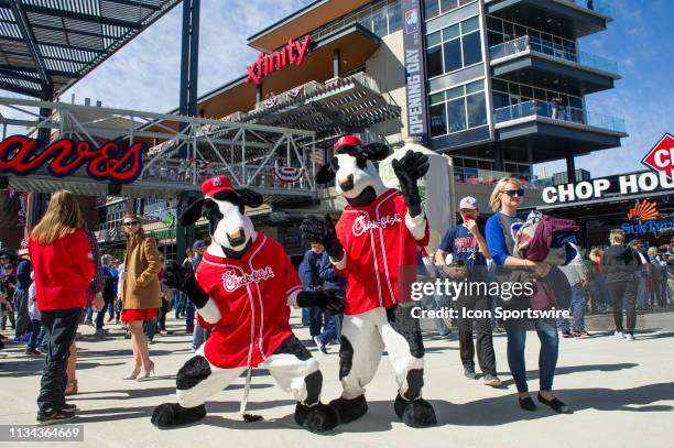 Chick-fil-A Cow Bobblehead – Atlanta Braves MLB Giveaway – 8/20/24, New In Box