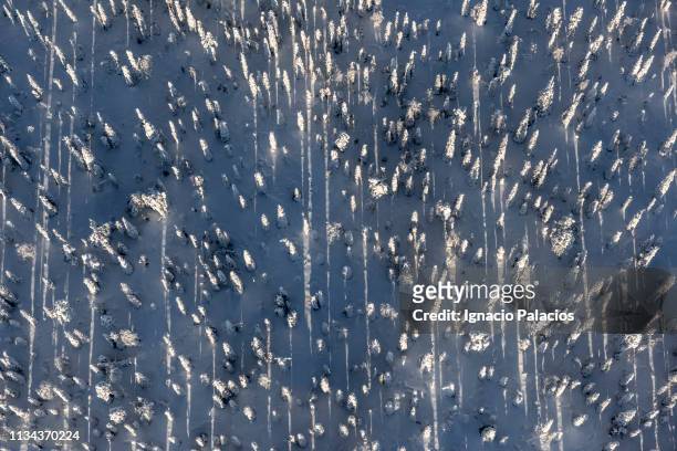 aerial views, frozen forest, lapland, finland - lappland aerial view stock-fotos und bilder