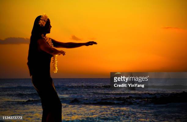 hula dancer on hawaiian beach at sunset with copy space - hawaiian print dress stock pictures, royalty-free photos & images